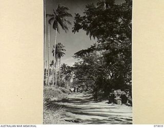 MADANG, NEW GUINEA. 1944-04-27. THE MAIN MADANG - ALEXISHAFEN ROAD AT A SECTION NEAR MADANG NOTED FOR ITS BEAUTY