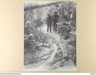 BERIMU, NEW GUINEA, 1945-08-05. TROOPS OF 2/7 INFANTRY BATTALION FOLLOWING A MUDDY REENTRANT DURING A SIX DAY PATROL INTO ENEMY TERRITORY. FOR THE MOST PART OF THIS SECTION THE TROOPS WERE ANKLE ..
