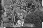 Distribution of wild pig meat: man carries large piece of cooked pork