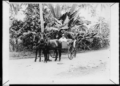 Wilhelm Heinrich Solf, riding in a horse drawn cart, Samoa