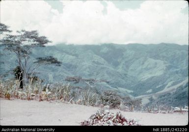 View over the valley