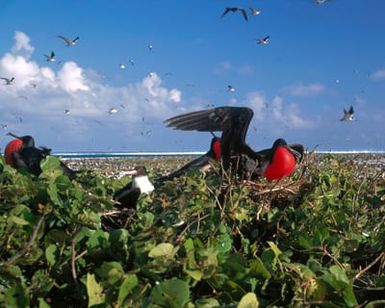 Johnston Island National Wildlife Refuge