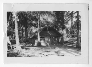 [Thatched-Roof Hut on Guadalcanal]