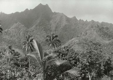 Pacific Islands - Cook Islands - Rarotonga - Scenics