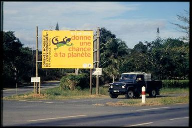 Lizard signage