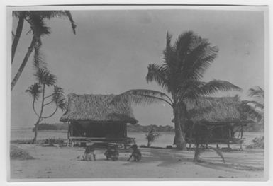 "Bock and Hessle Gilbertöarnaexpedition: 2 houses, huts on the sea. Palms grow next door. In front of one house are 5 children. : A series with a photon. 6977: 1-15. "