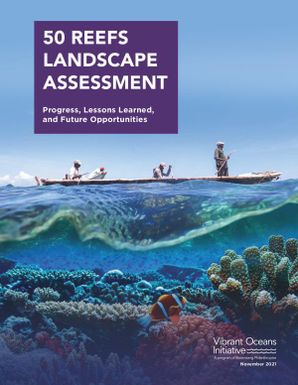 50 Reefs Landscape Assessment: Progress, Lessons Learned, and Future Opportunities