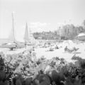 United States, view of Waikiki Beach in Honolulu