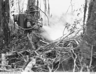 WEWAK AREA, NEW GUINEA. 1945-06-27. PRIVATE A.W. BISHOP, 2/8 INFANTRY BATTALION, USING A FLAME THROWER TO SPRAY BLAZING OIL ON JAPANESE BUNKERS, DURING THE UNIT'S ADVANCE UP THE SIDE OF MOUNT ..