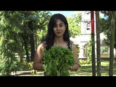 Watercress - Edible leaves of the Pacific