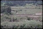 Western Highlands: fenced garden and homes in a broad valley