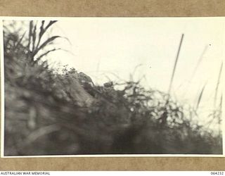 FINISTERRE RANGES, NEW GUINEA. 1944-01-22. THIS SHOULD HAVE BEEN A PHOTOGRAPH OF A 500 POUND BOMB EXPLODING ON JAPANESE POSITIONS, BUT OWING TO THE CLOSE PROXIMITY OF THE EXPLOSION THE PHOTOGRAPHER ..