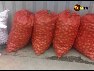 LAGAIP POTATO PROJECT