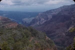 [Looking down in Waimea Canyon, Unites States]