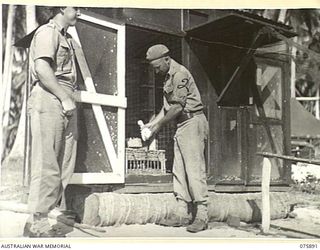 POTSDAM, NEW GUINEA. 1944-09-05. NX169747 SIGNALMAN J.S. JAMES (1) AND QX51159 SERGEANT C.R. LADD (2) BASKETING PIGEONS AT LOFT 19 POTSDAM, 25TH INFANTRY BATTALION