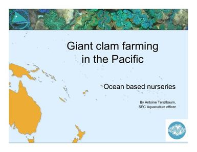 Giant clam farming in the Pacific - Ocean based nurseries