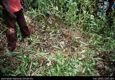 Dawatai Village: Some of the relic stones on old grave-sites and dai belonging to Nadiyai susu, see Report pp. 41, 56-7