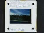 Plantation on east coast of Bougainville, [Papua New Guinea], Jun 1960