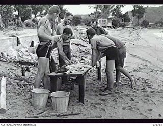 SALAMAUA, NEW GUINEA. 1944-06-02. MEMBERS OF 2ND MARINE FOOD SUPPLY PLATOON CLEANING SHARKS WHICH HAVE BEEN MESHED IN NEARBY WATERS. THE PROCESS IS NECESSARY TO KEEP STOCKS FOR BAIT IN COLD ..