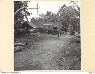 BRANDI, NEW GUINEA, 1945-09-07. MOTOR TRANSPORT LINES, 35 INFANTRY BATTALION