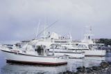 French Polynesia, fishing boats docked along shore of Tahiti Island