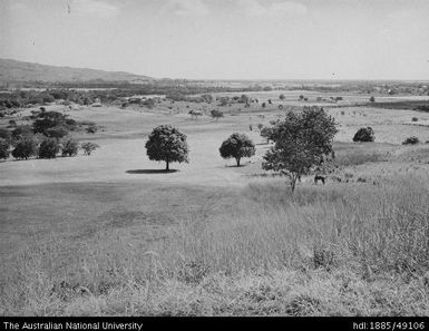 Rarawai Mill - Part of golf links, club house in left rear
