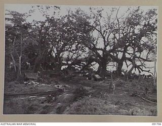 CAPE WOM, WEWAK AREA, NEW GUINEA. 1945-05-06. A SECTION OF HEADQUARTERS 19 INFANTRY BRIGADE. OUR TROOPS ENCOUNTERED SOME OPPOSITION IN THIS AREA DURING THEIR ADVANCE AGAINST THE MAIN JAPANESE BASE
