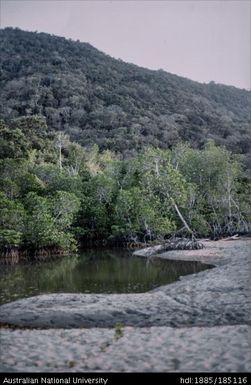 Wapolu swamp, looking towards the swamp near Wapolu mine
