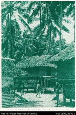 High-perched thatched huts of New Guinea natives at Samarai