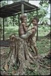 Boys play by tree stump next to the Hutchins' house