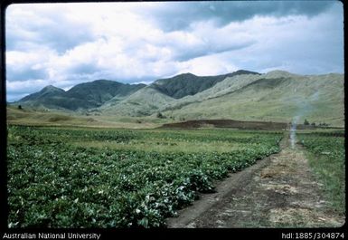 Farmer training centre, Korofeigu