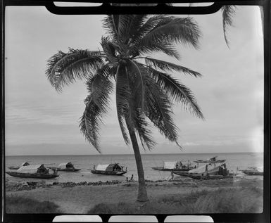 Canoes (lakatoi), Walters Bay, Port Moresby, Papua New Guinea