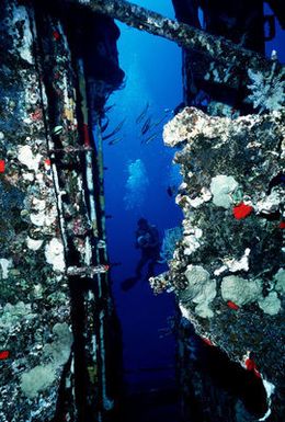 View of a Navy underwater photographer wearing scuba gear as seen through the hull of the submarine ex-USS BLUEGILL (SS 242). Divers are participating in Pacific Submarine Salvage Exercise 83 (PACSUBSALVEX-83) off the coast of Maui