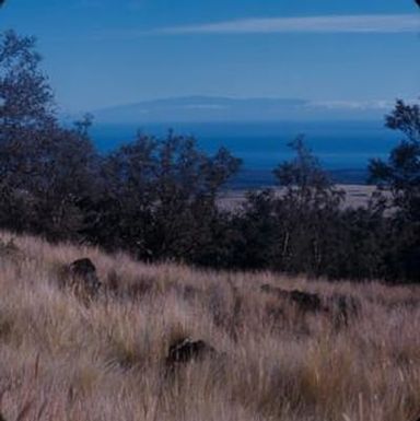 [View of Maui from Kaʻūpūlehu, United States]