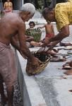 Elder receive family inati from tauvaega (designated distributor of communal produce, etc.)