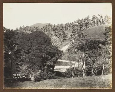 Road to Vailele. From the album: Samoa