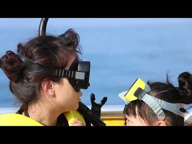 PBS Hawai‘i - HIKI NŌ Episode #822 | Waiʻanae High - O‘ahu | Dolphin Tours