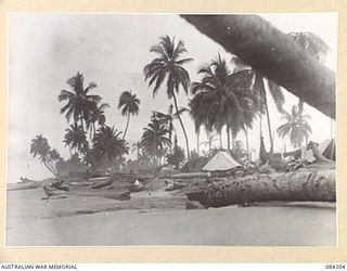 SUAIN PLANTATION, NEW GUINEA. 1944-12-08. A COMPANY, 2/4 INFANTRY BATTALION CAMP SITE VIEWED FROM THE WEST AT ITS LOCATION ABOUT 3000 YARDS FROM THE DANMAP RIVER