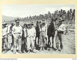 MILNE BAY, NEW GUINEA. 1944-01-11. MEMBERS OF NO. 1 PLATOON, 2/1ST FIELD BUTCHERY COMPANY, AT THE SLAUGHTER YARDS. IDENTIFIED COMPANY, AT THE SLAUGHTER YARDS. IDENTIFIED PERSONNEL ARE:- VX50753 ..