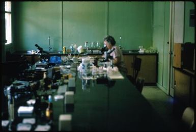 Working with anopheline mosquitoes in the laboratory, Yagaum (1) : Papua New Guinea, 1974 / Terence and Margaret Spencer