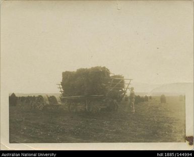 untitled [loaded wagon]