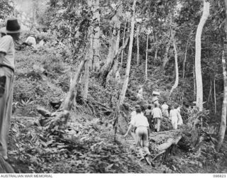 RAMALE MISSION, KOKOPO AREA, NEW BRITAIN. 1945-09-16. FOOD SUPPLIES WERE BROUGHT OUT FROM RABAUL TO RAMALE MISSION IN JAPANESE TRUCKS TO SUPPLY THE INTERNEES AT THE MISSION. SHOWN, THE SUPPLIES ..