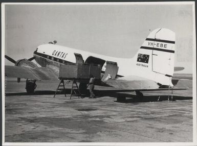 Photographs of the airlift of Pakistan cattle to Papua & New Guinea, 1952