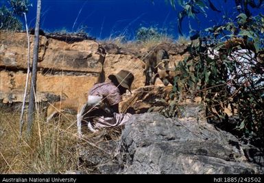 Woman hunting for echidna