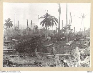 SUAIN PLANTATION, NEW GUINEA. 1944-12-08. A COMPANY, 2/4 INFANTRY BATTALION CAMP SITE. (JOINS NO.84207 AND 84208)