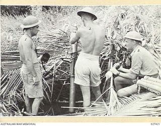 WANIGELA, NEW GUINEA. 1942-10. MORTAR CREW OF "A" COMPANY, 2/10TH AUSTRALIAN INFANTRY BATTALION IN A SEMI WATER-FILLED POSITION DEFENDING BEACH STRIP AT COLLINGWOOD BAY. THEY ARE, LEFT TO RIGHT:- ..
