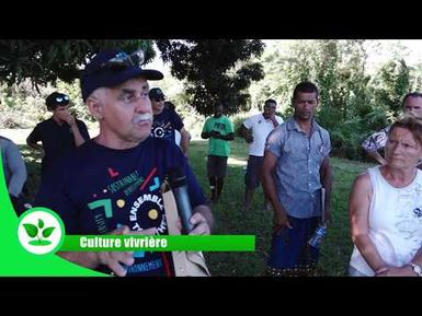 WF - Le réseau de fermes pilotes biologique à Wallis-et-Futuna : Vivrier - INTEGRE