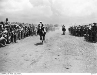 SOPUTA, NEW GUINEA. 1943-10-09. FINISH OF THE SANANANDA STAKES AT THE RACE MEETING CONDUCTED BY THE 11TH AUSTRALIAN DIVISION. MR "X" - FIRST; "SOPUTRID" - SECOND; "MYSTERY PRINCE" - THIRD