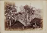 Unidentified village, New Guinea, n.d