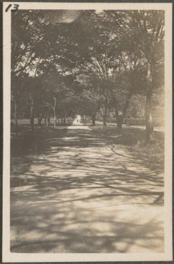 Road from Rabaul to Mamanula, New Britain Island, Papua New Guinea, approximately 1916